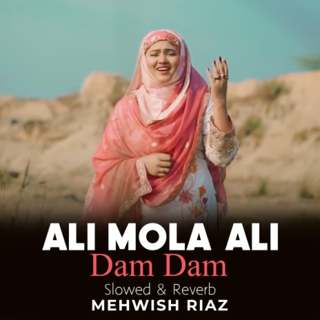 Ali Mola Ali Dam Dam Lofi