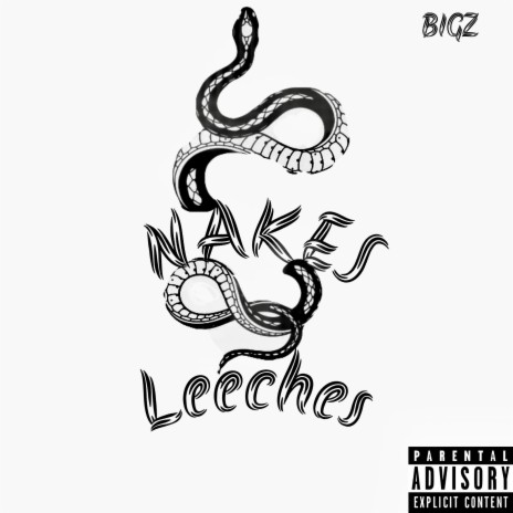 Snakes & Leeches | Boomplay Music