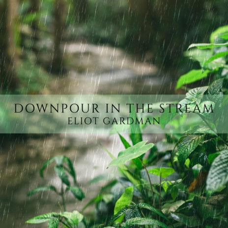 Downpour in the Stream