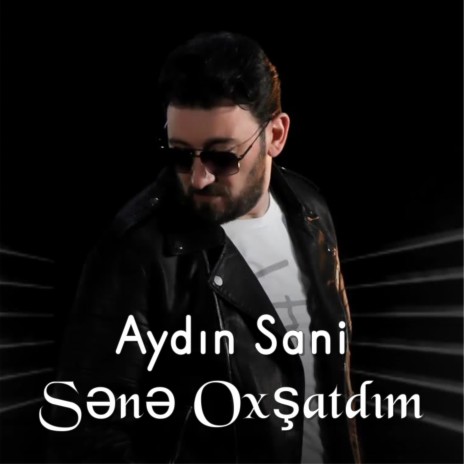 Sənə Oxşatdım | Boomplay Music