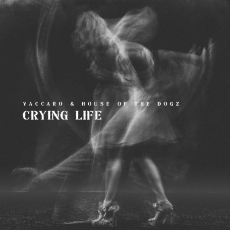 Crying Life | Boomplay Music