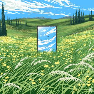 Mirror In The Meadow