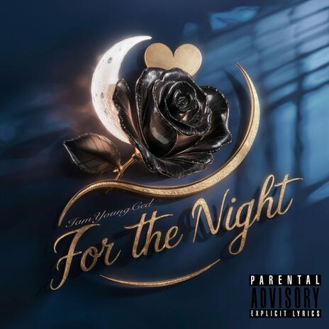 For The Night | Boomplay Music