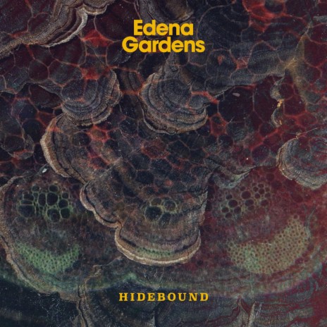 Hidebound