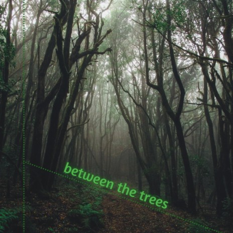 between the trees | Boomplay Music