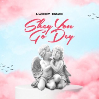 Shey You Go Dey lyrics | Boomplay Music