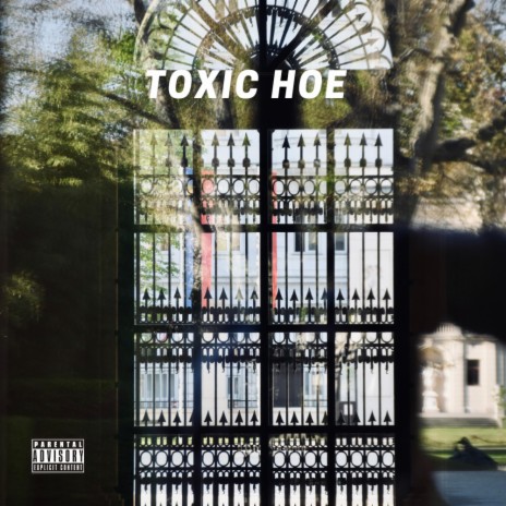 Toxic hoe | Boomplay Music