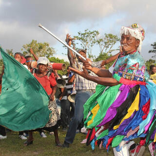 Palo Dominicano