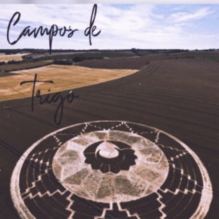 Campos de trigo