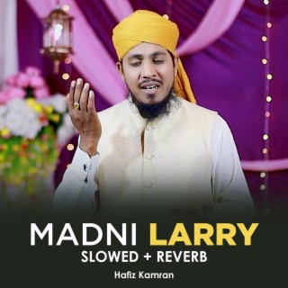 Madni Larry Lofi