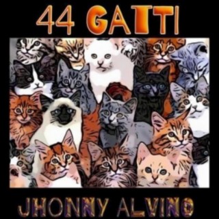 44 Gatti