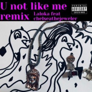 U Not Like Me (Remix)