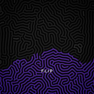 Flip