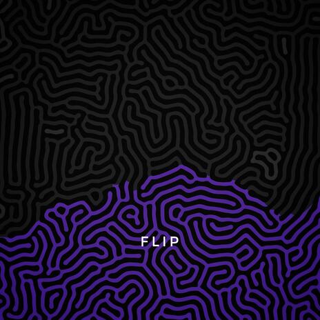 Flip | Boomplay Music