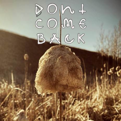 Don't Come Back