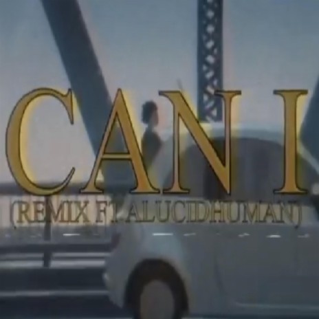 Can I? (Remix) ft. A lucid human