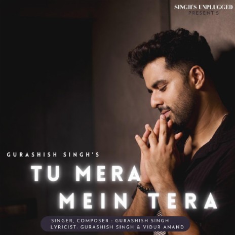 Tu Mera Mein Tera ft. Vidur Anand | Boomplay Music