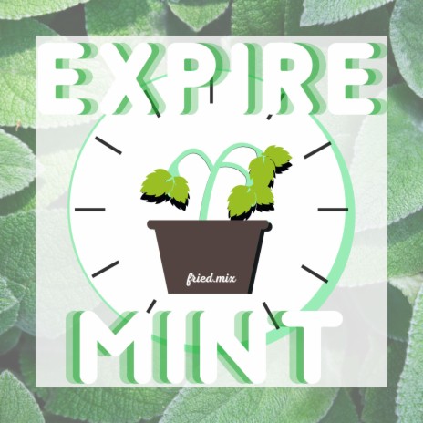 Expire Mint | Boomplay Music