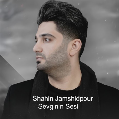 Sevginin Sesi | Boomplay Music