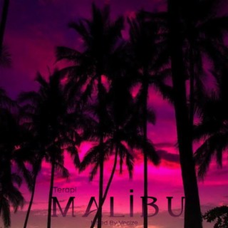 Malibu lyrics | Boomplay Music