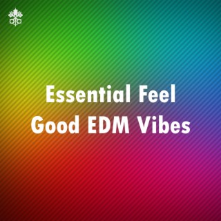 Essential Feel Good EDM Vibes