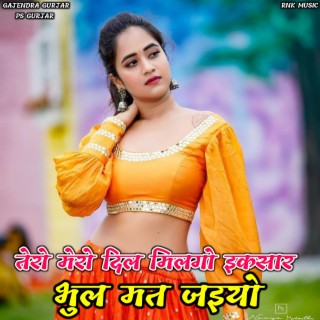 Tero Mero Dil Milgo Iksar Bhul Mat Jaiyo