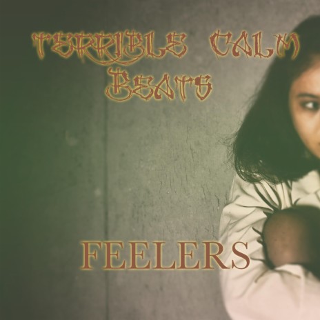 Feelers | Boomplay Music