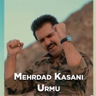 Mehrdad Kasani