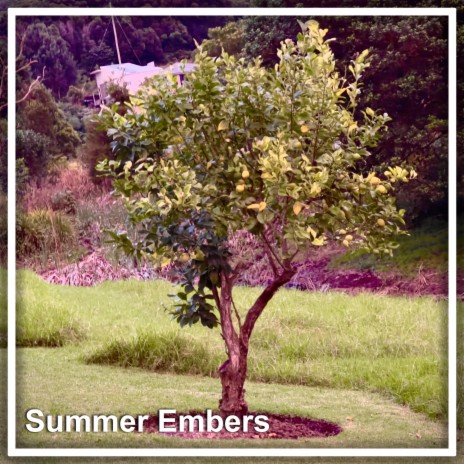 Summer Embers | Boomplay Music