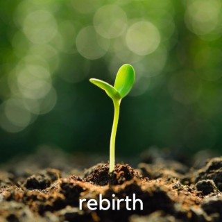 rebirth