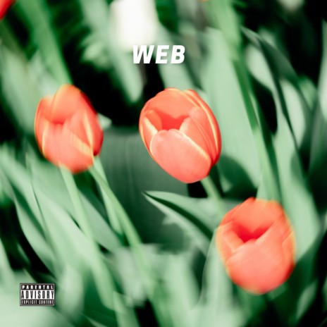 Web | Boomplay Music