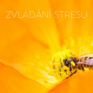 Zvládání stresu