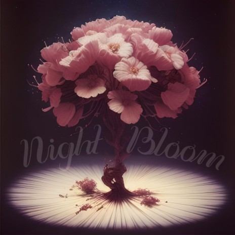 Night Bloom | Boomplay Music