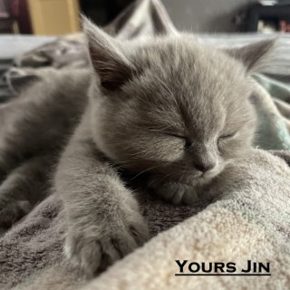 Yours Jin