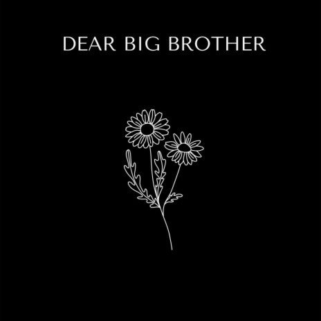 Dear Big Brother | Boomplay Music