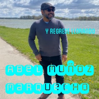 Y Regrese Llorando lyrics | Boomplay Music