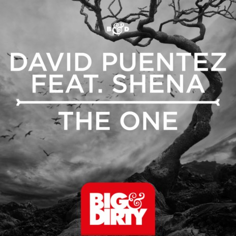 The One (Original Mix) ft. Shena | Boomplay Music