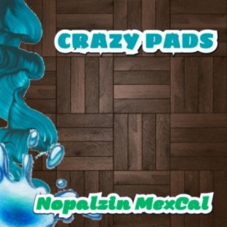 Crazy Pads 2