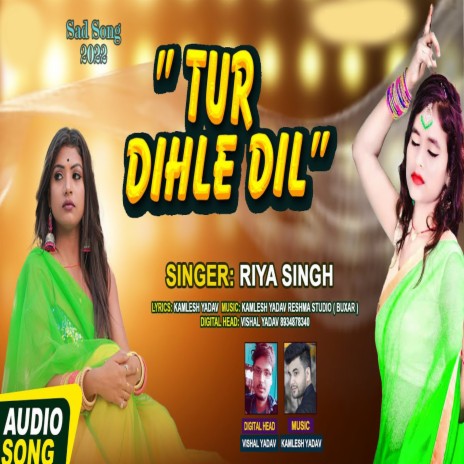 Tur Dihle Dil | Boomplay Music