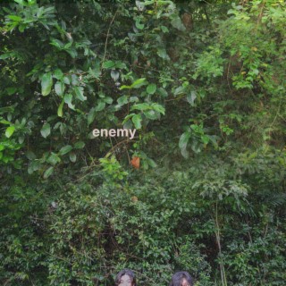 Enemy