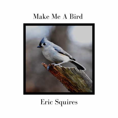 Make Me A Bird | Boomplay Music
