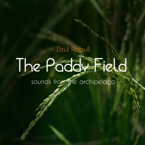 The Paddy Field