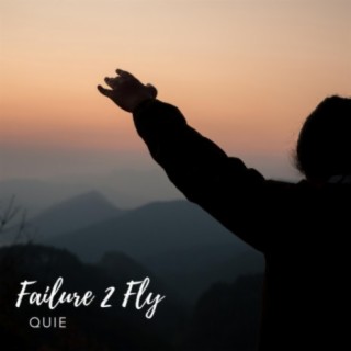 Failure 2 Fly