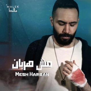 Mesh Harban - مش هربان lyrics | Boomplay Music