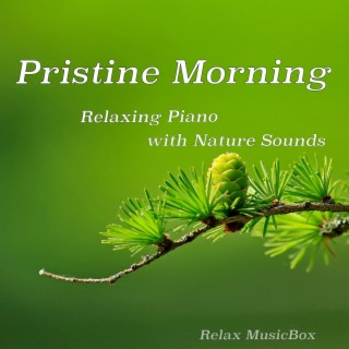 Pristine Morning - Relaxing Piano with Nature Sounds