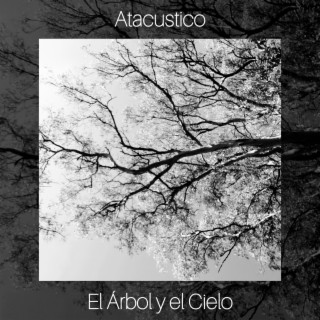 El Árbol y el Cielo