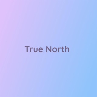 True North