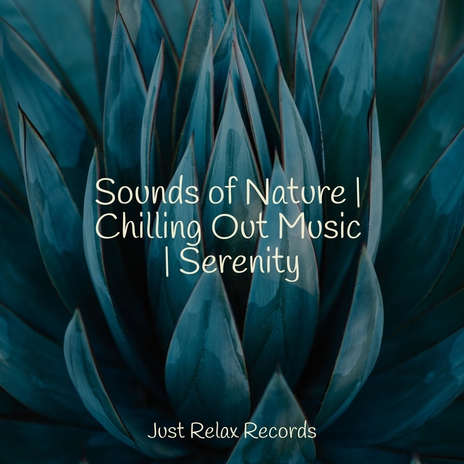 Echoes of Solitude's Slumber ft. Zen & Música Para Meditar | Boomplay Music