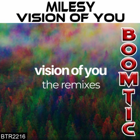 Vision Of You (Ricardo Elgardo Remix) | Boomplay Music