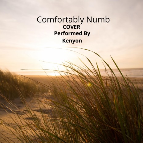 Comfortably Numb | Boomplay Music